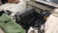 IMG_20200402_185601638.jpg