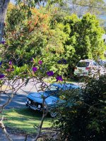 IMG_5764.JPEG