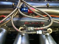Alpina.jpg