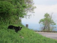 IMG_5851.jpg