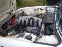 S1030677.jpg