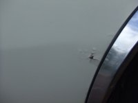 DSCF0414.JPG