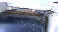 20200712_190205.jpg