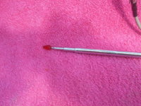 SV109610.JPG
