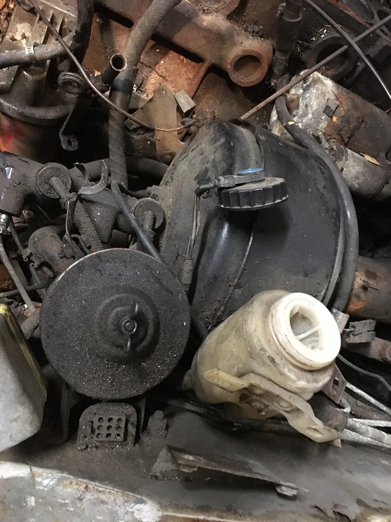 36147389063_e43916d9e6_b.jpg