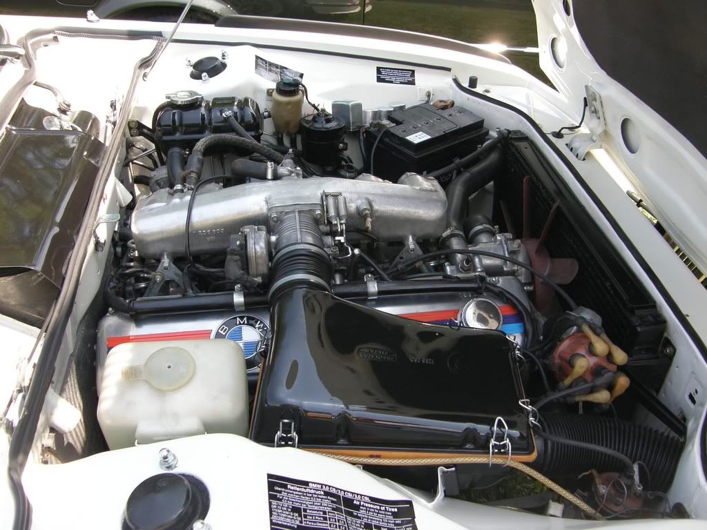 SK-csl-3.jpg