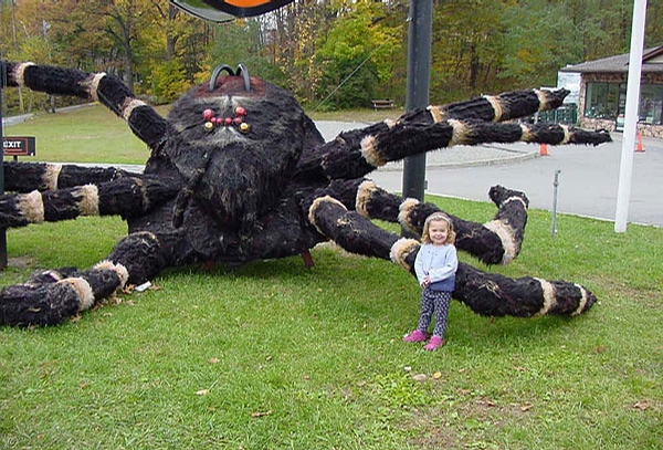 2486-scary-spider.jpg