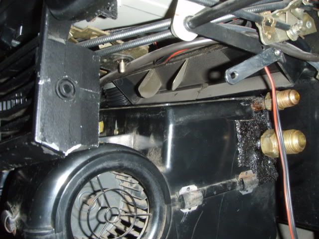P1090005.jpg