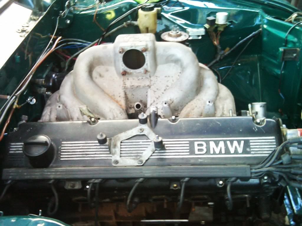 IMG00123-20100429-1606.jpg
