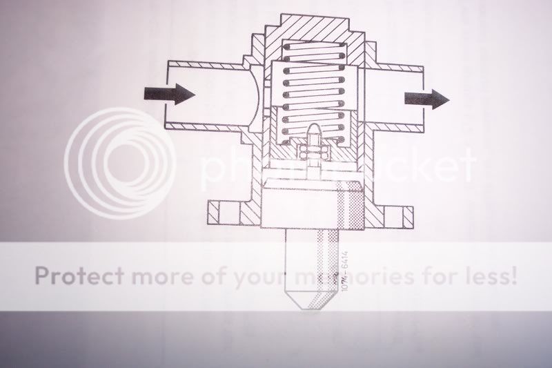 dcp_1298.jpg