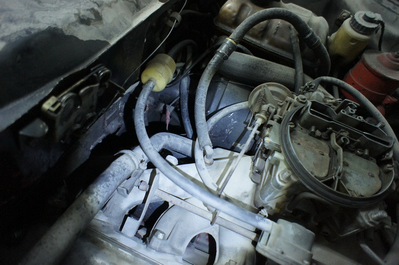 6311309473_65385133de_b.jpg