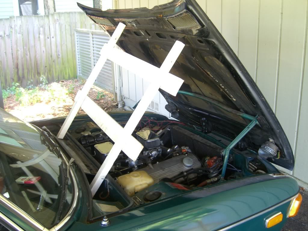 CIMG9110.jpg