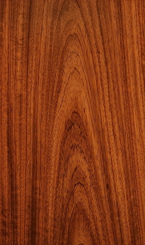 etimoe_flatcut_plain.jpg