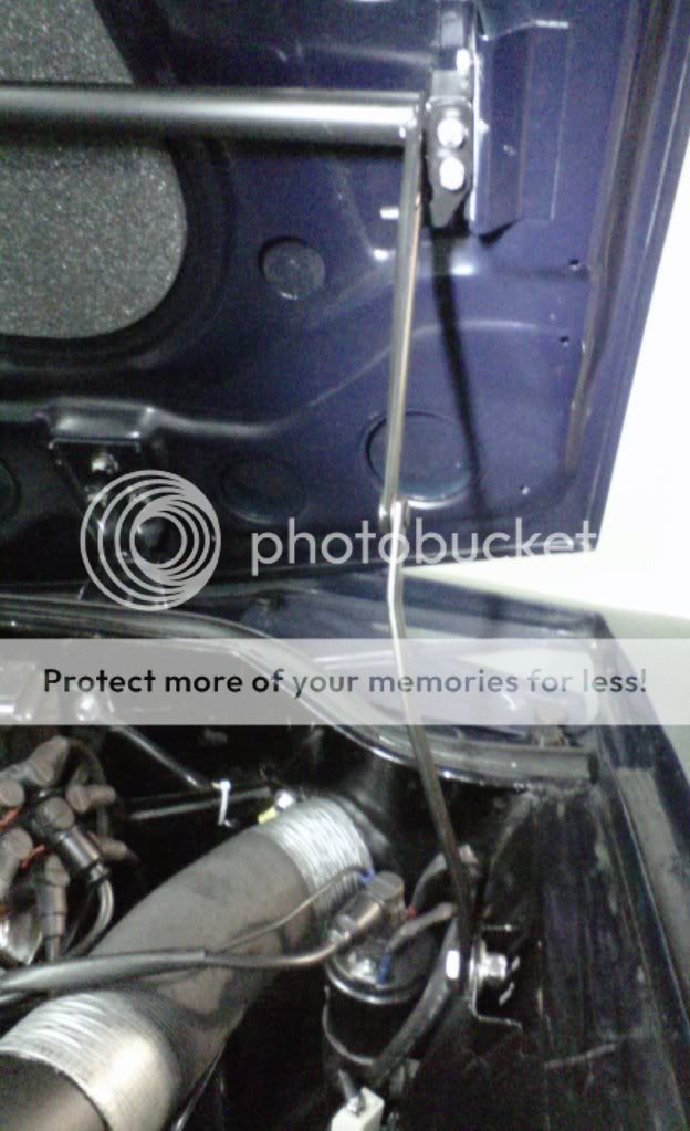 IMG00022-20110125-1300.jpg
