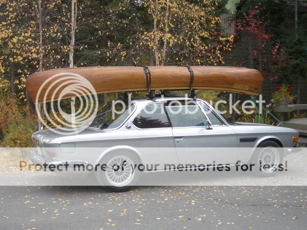 IMGP4298.jpg