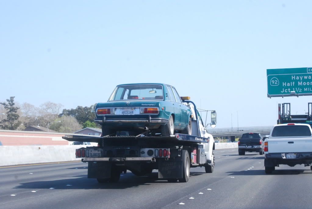 DSC_7013.jpg