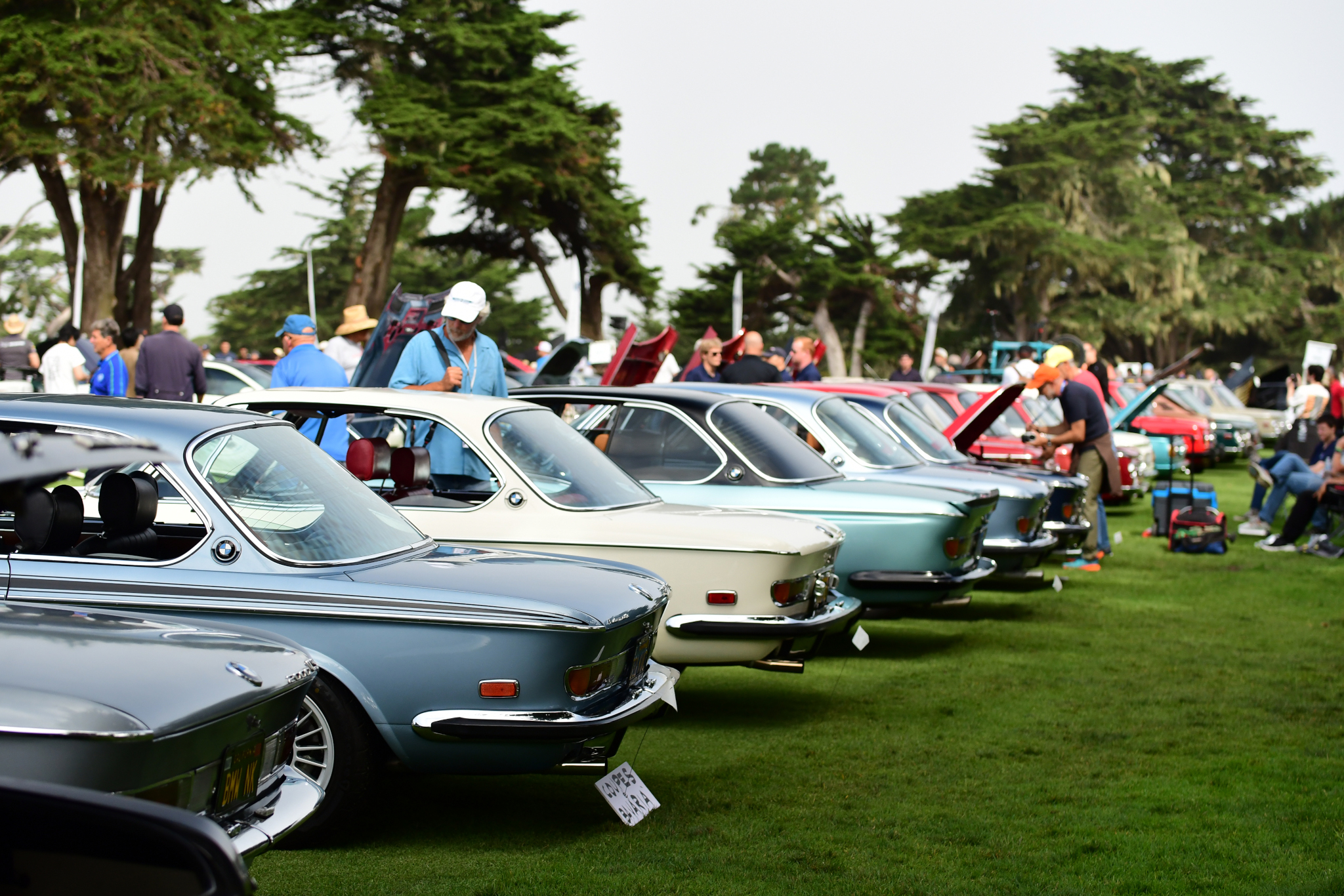 www.bmwcca.org
