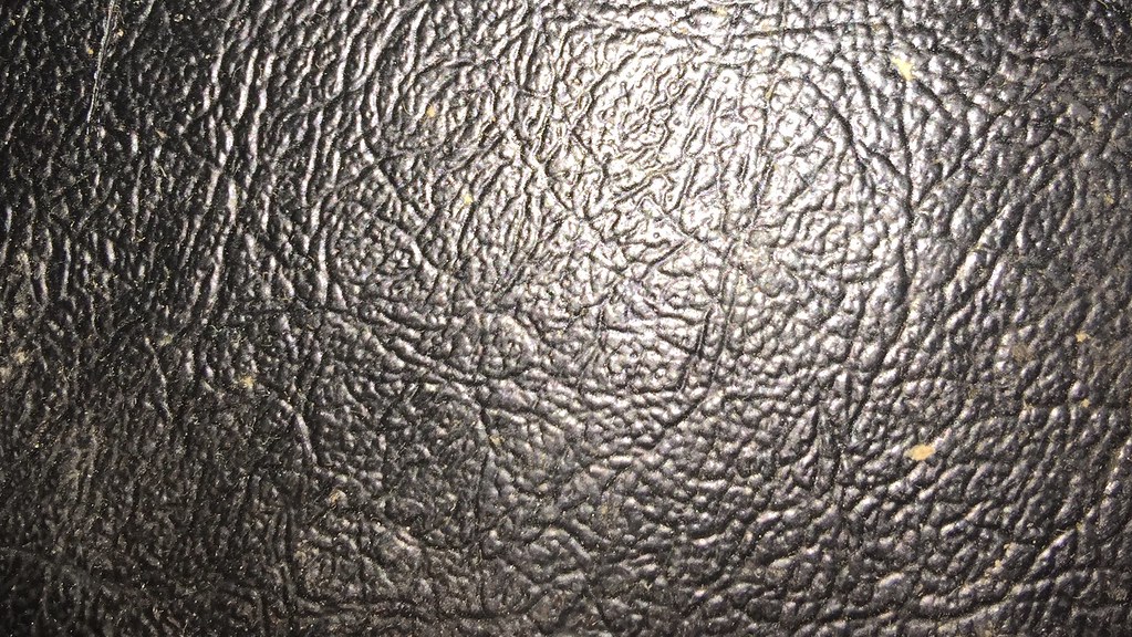 31781524274_d15901d8ef_b.jpg