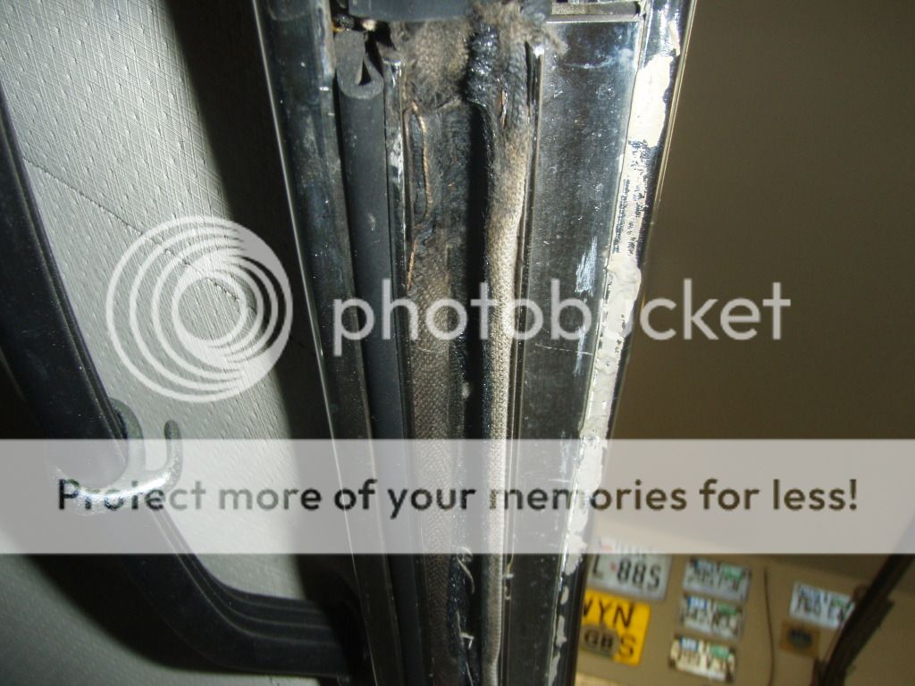 P8040002_zps4b85ce19.jpg