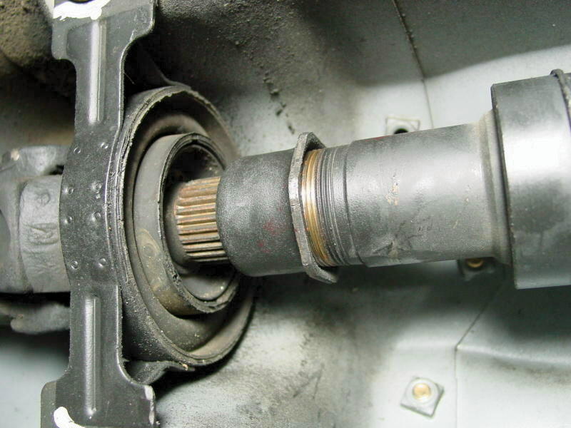 pic5.jpg