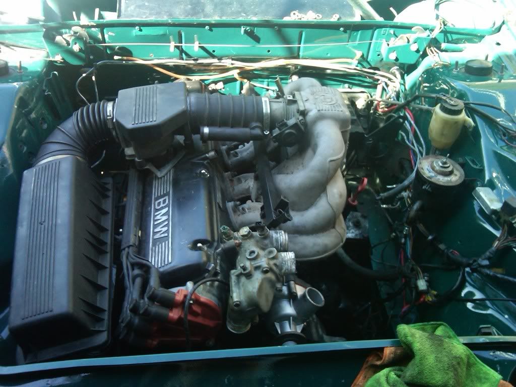 IMG00129-20100429-1646.jpg