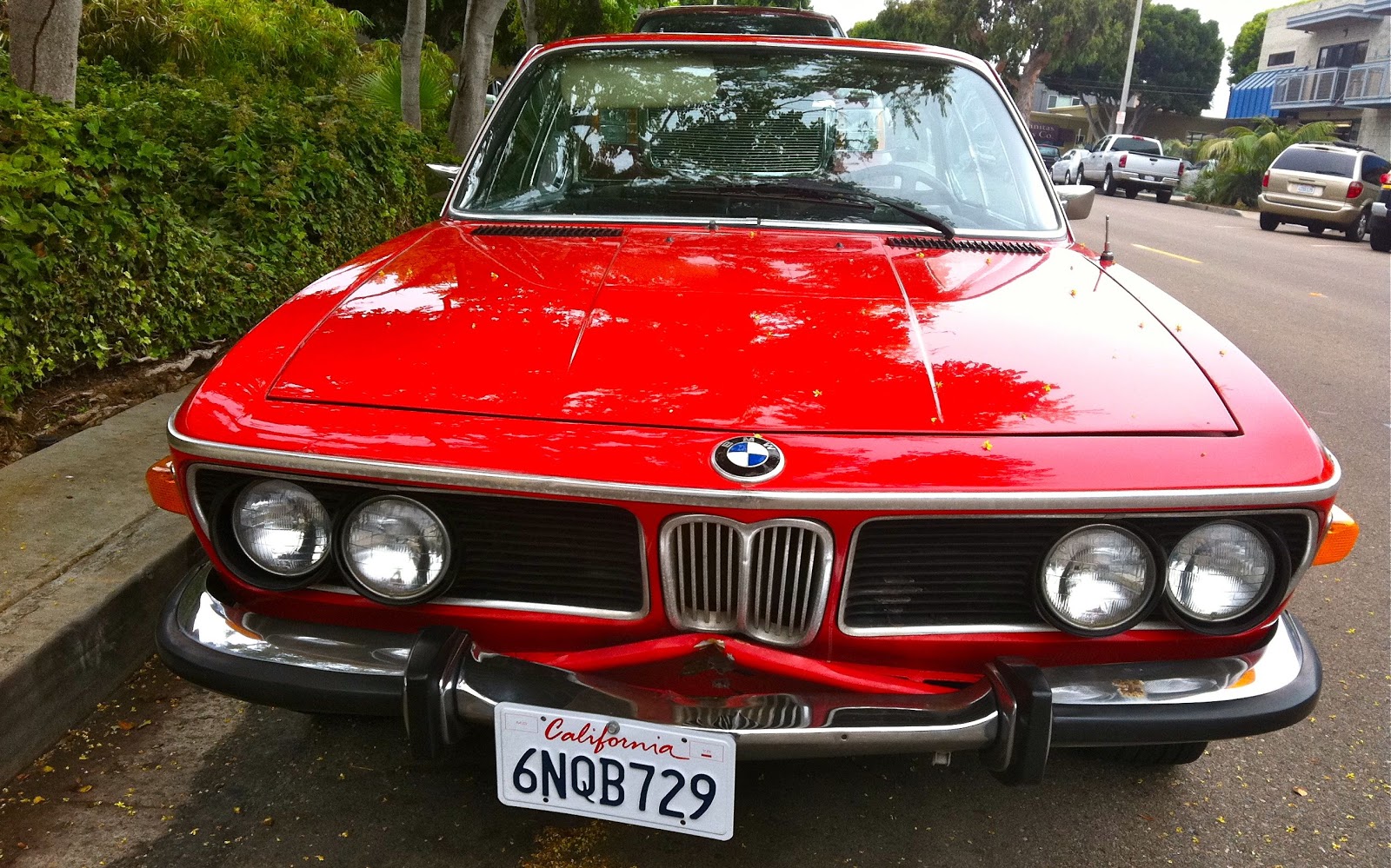 BMW+3.0CS_71_5.jpg