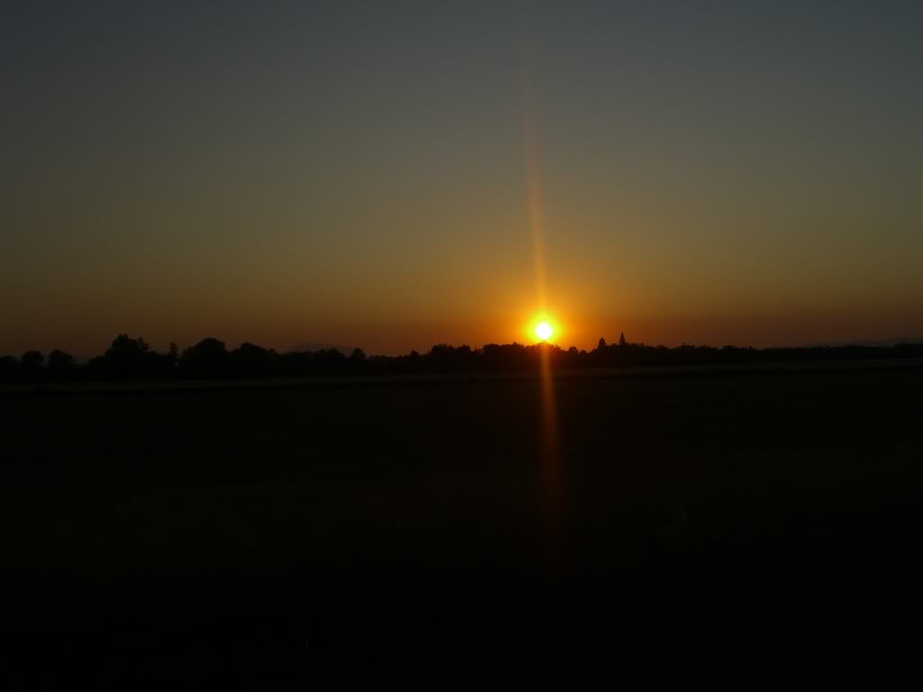 CIMG9176.jpg
