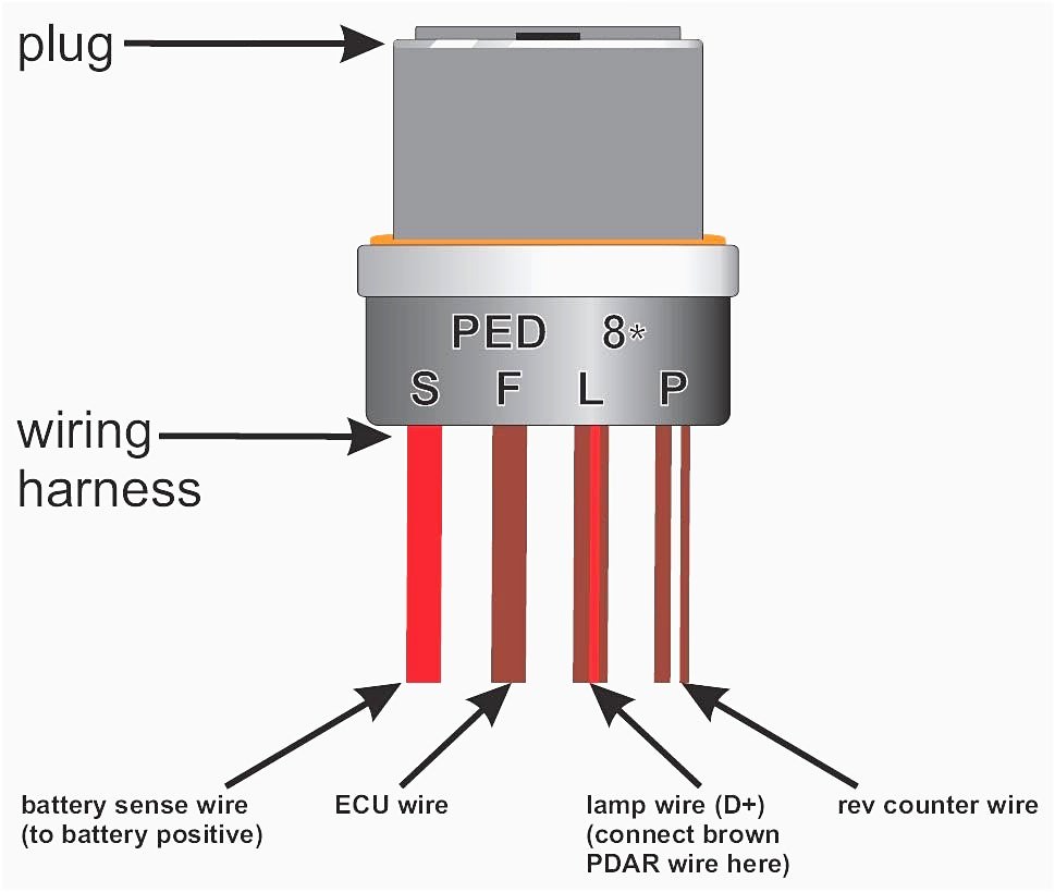 PGb2Oyl.jpg
