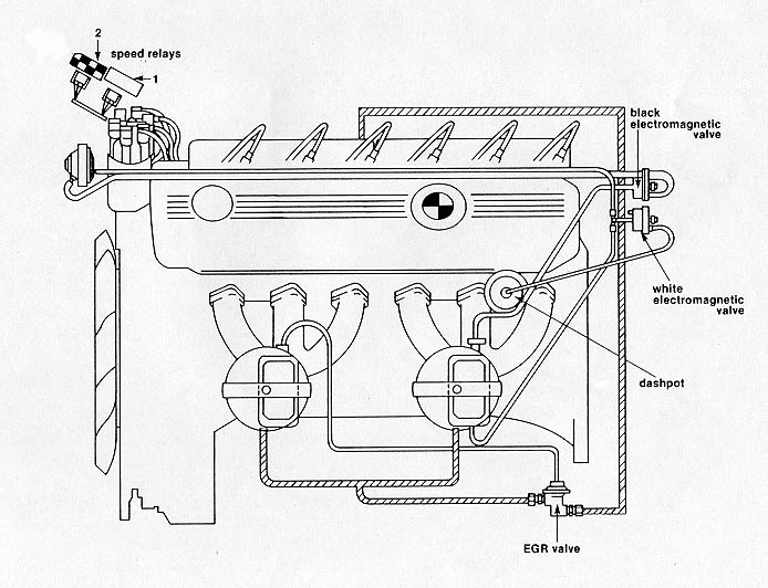 bav_72d.JPG