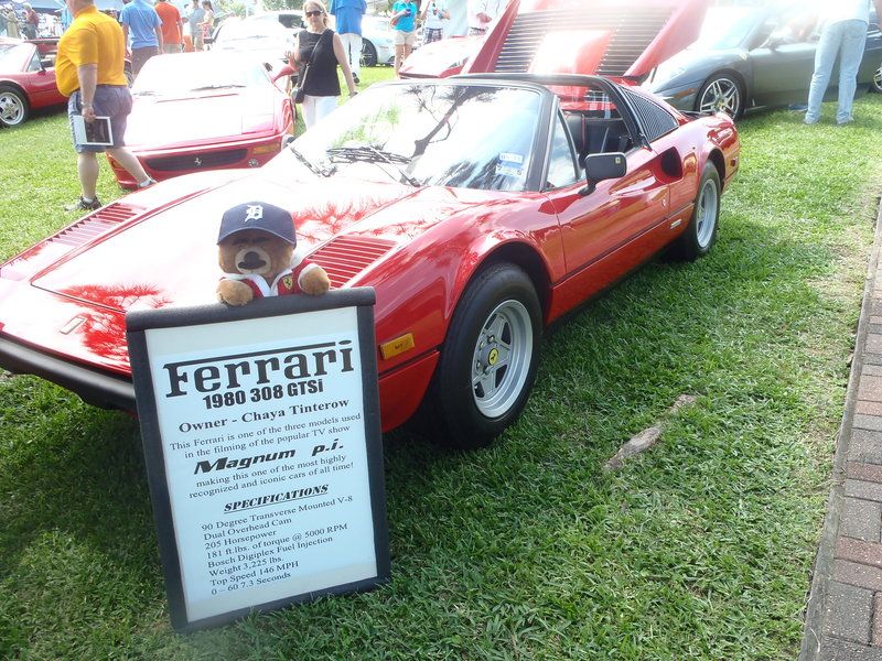P5020638_zpsneap2brm.jpg