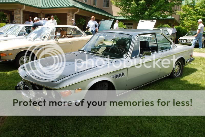 DSC_5317.jpg