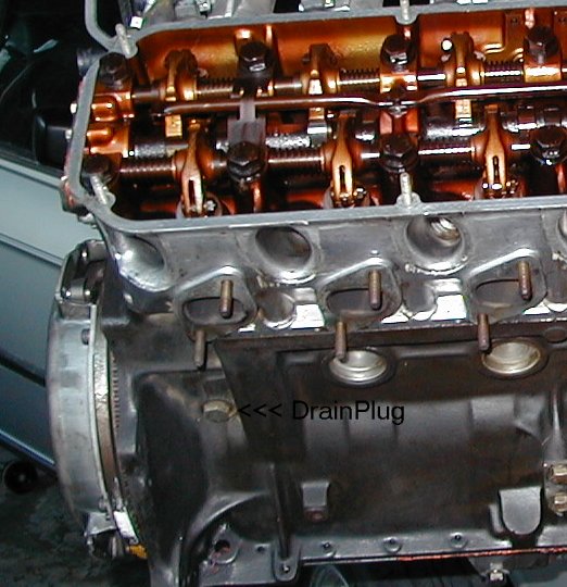 drainplug.jpg