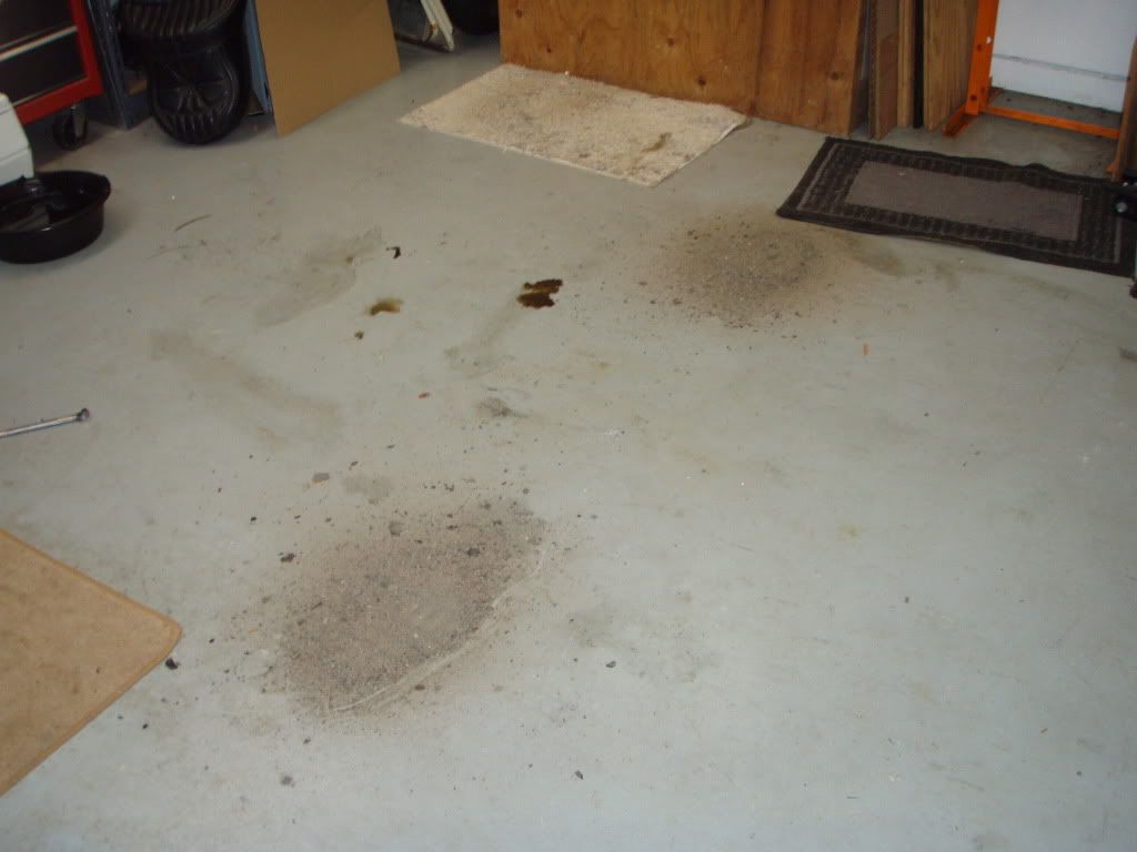 PC040027.jpg