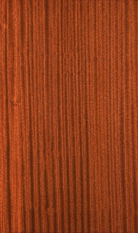 sapele_quarterer_cut_ribbon.jpg