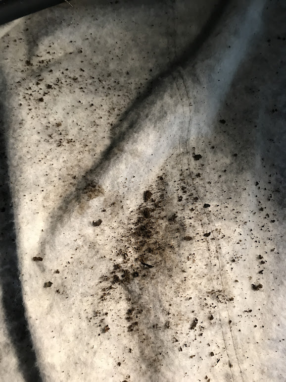 aWaHiZ_MDHzRCQZIteSwGdf8G5JLxbQf8Uedsh4deOUxRtz2s-6fyELQyF7sWD2TMhC3VtUMYuoN8sqaRKq5ye6sPI3or6F9jJLlILaYo8q3iIVa13jcgDlsGAY213USqPOjQUc9FU0ODPN488Biv_yQnCSBjJGXdPDbVWni4vSbvTzCrexTUg463lAYgV89xRoPlnULLmxiiltHa-PhsizriHxWzDMU27sCc49Jupt6lQzHKRN1agPNXfNncj9y948wYEXRtO95tfG31rSdCc5V99kz20W_0H5J0X75SH4-VrMFO5WJ1IPPxdBqSgSXmcQ_ET2oz7_m9x-GdyATTlcxmE7GUp_4sqD1jO6G0txoFQD6b-6KnpWN-gra4UvlNZ0qdOgGiyMlUvlLhONqrauxpZ8vxy-Qqphc8DFwn6SaEl-iw9kyu7I6DH3OF--pCP2kyjvqsPfbSZbihCi6ji6kBb009amiwCkiHthiJkArqxaoReNihm8MFNlIiRWUYoAWbM78lNRB7gfN00sMQ5q8Zq0BtW44sYBAXK3AlMa5CWl-Iamjd5jPHQVwQJv0I-71QlF6J5nqCj70HNcyHqW43xBjsWKUEXunubFjW1XqQ-gZ=w579-h771-no